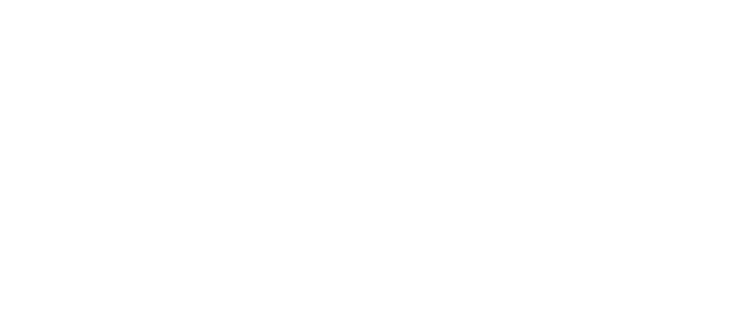 Museo Ligabue